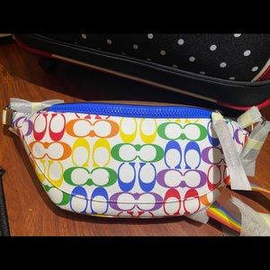 Coach “rainbow love” collection